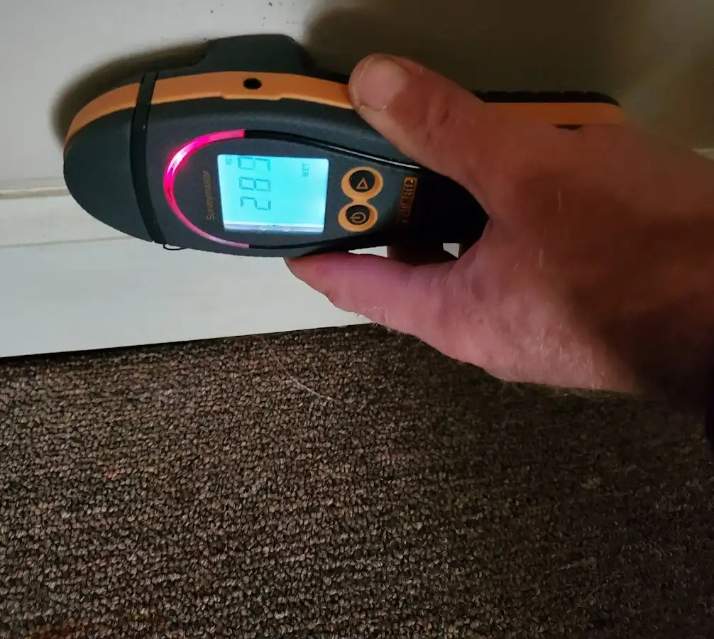 Moisture detection at baseboard during Sewage Cleanup & Sanitation in Memphis